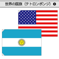 世界の国旗　テトロンポンジ